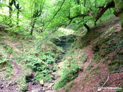 Senderismo Valles Pasiegos, Cantabria; el valle del jerte en flor viajes en julio rutas en cercedill